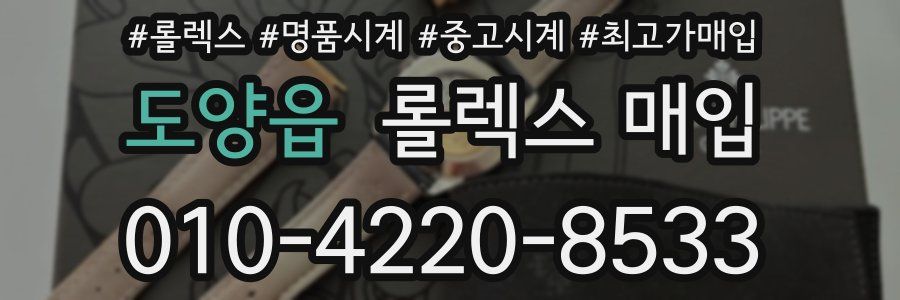 도양읍 롤렉스 매입