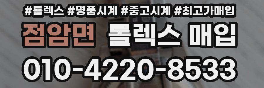 점암면 롤렉스 매입