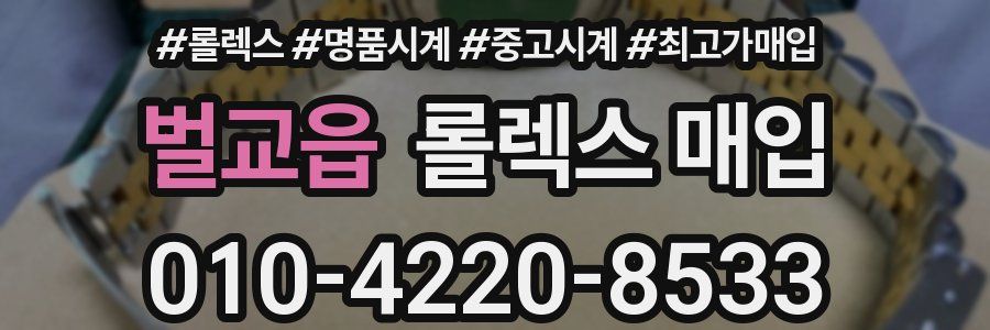 벌교읍 롤렉스 매입
