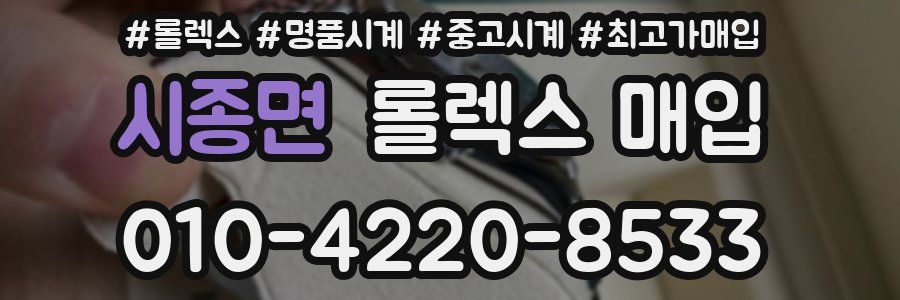 시종면 롤렉스 매입