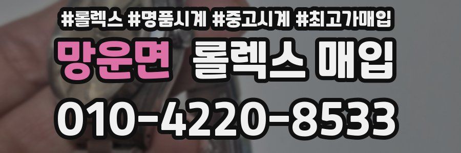 망운면 롤렉스 매입