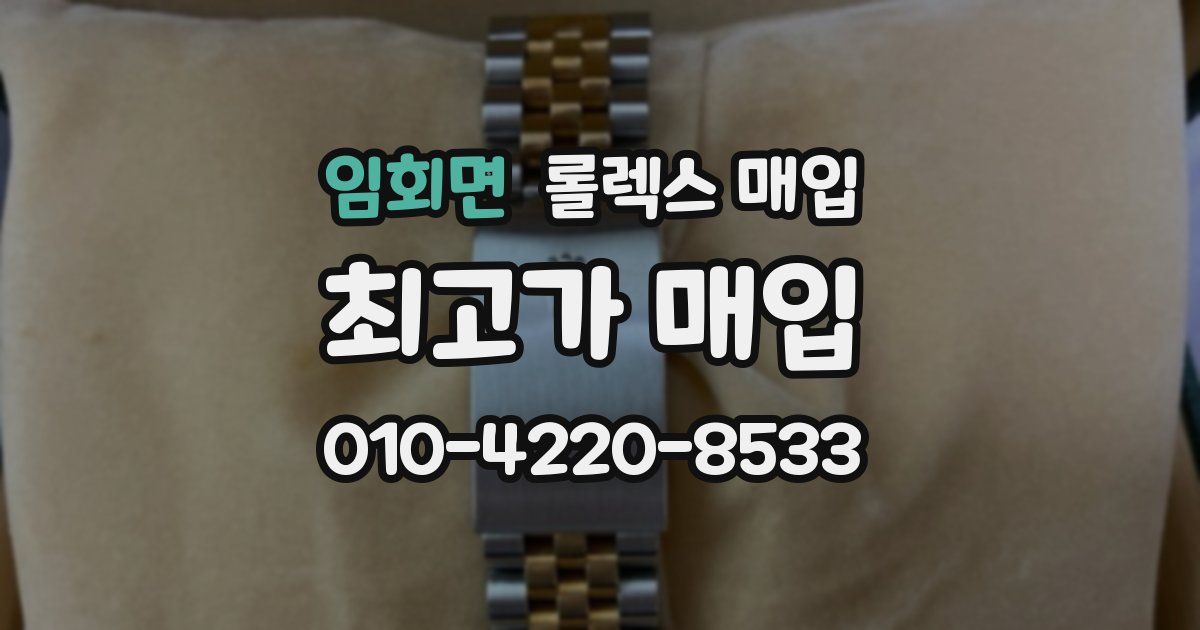 임회면 롤렉스 매입