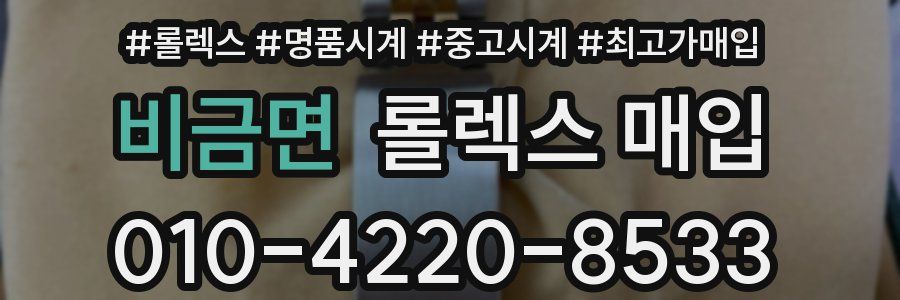비금면 롤렉스 매입
