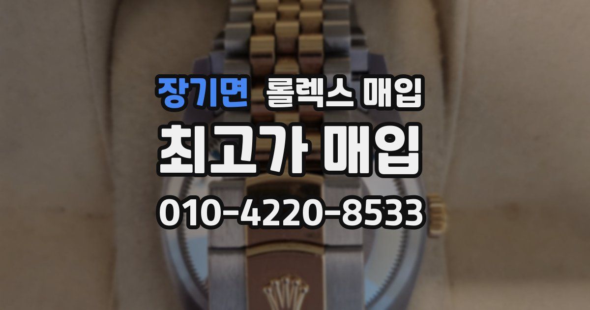 장기면 롤렉스 매입