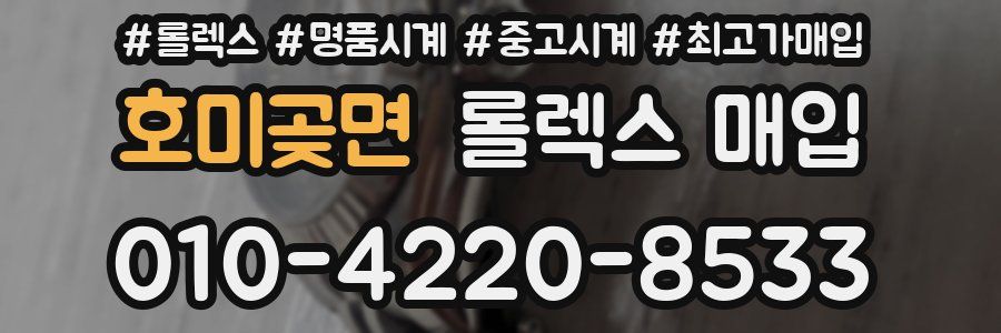 호미곶면 롤렉스 매입