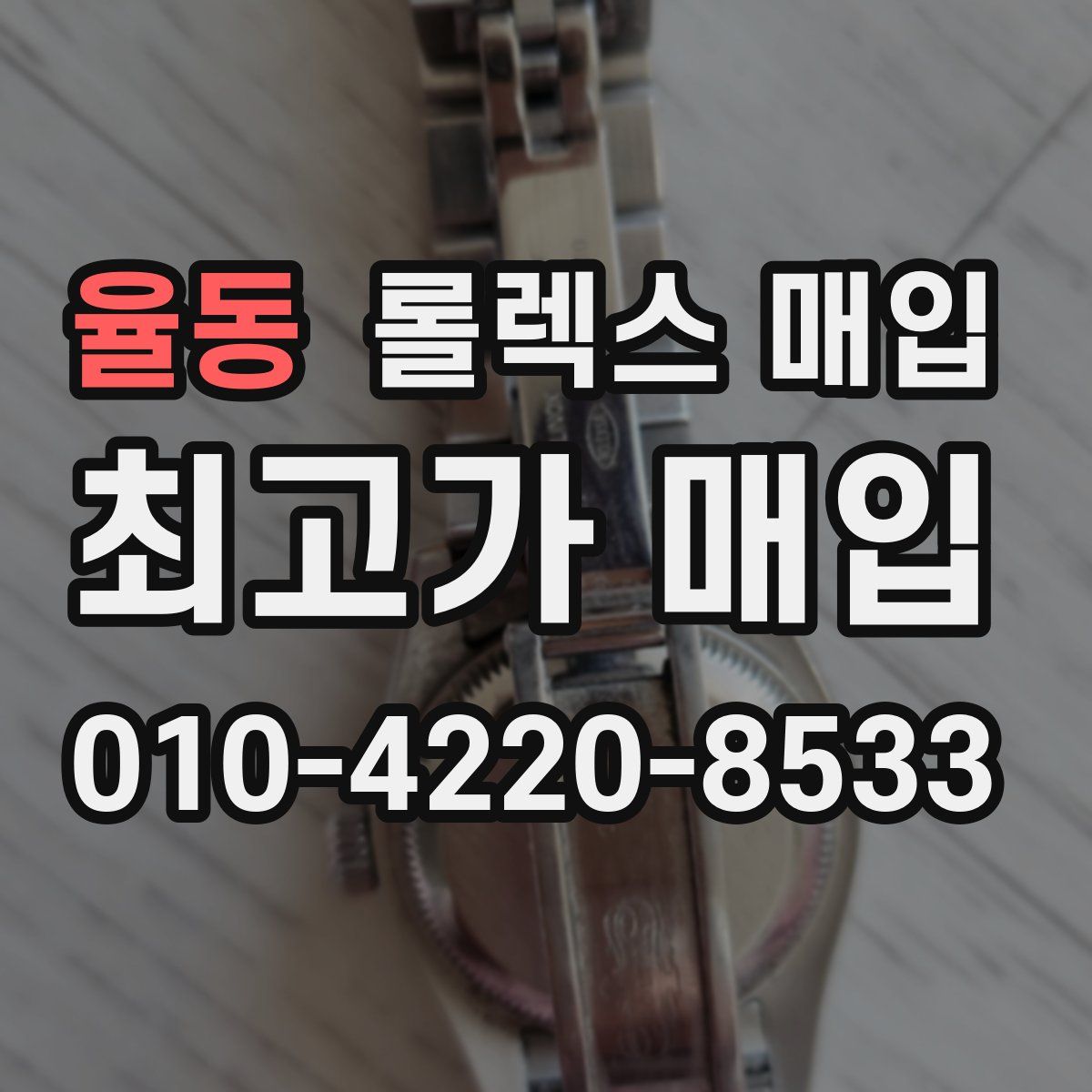 율동 롤렉스 매입