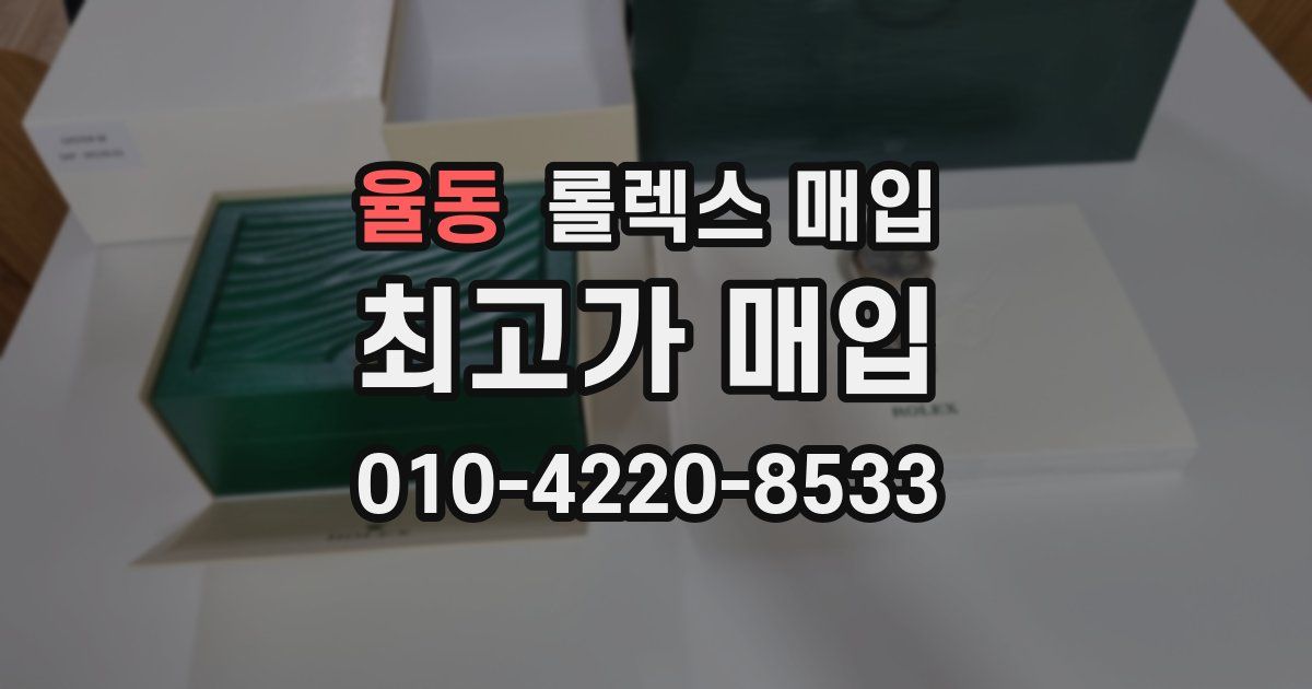 율동 롤렉스 매입