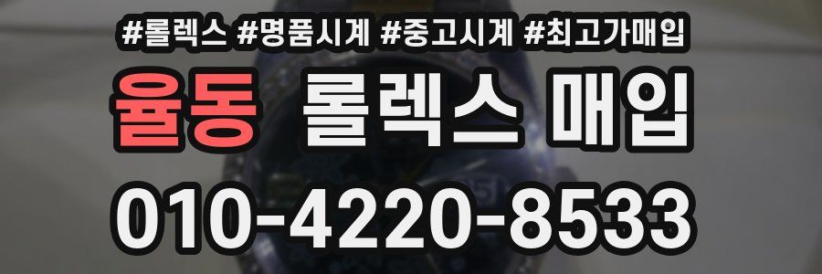 율동 롤렉스 매입
