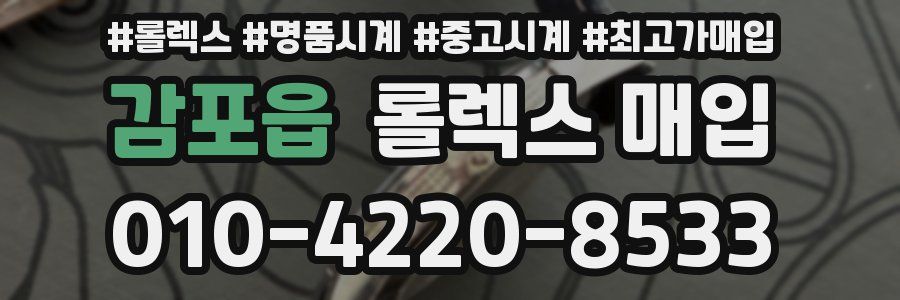 감포읍 롤렉스 매입
