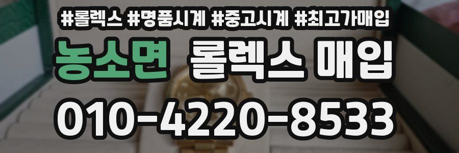 농소면 롤렉스 매입