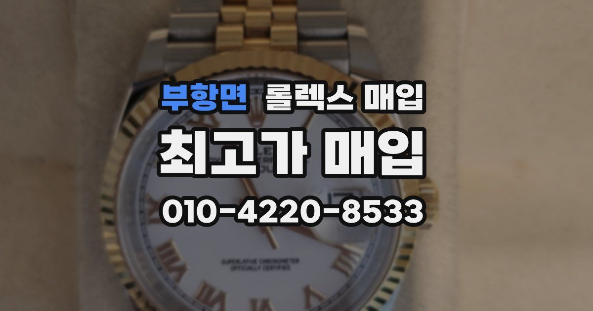 부항면 롤렉스 매입