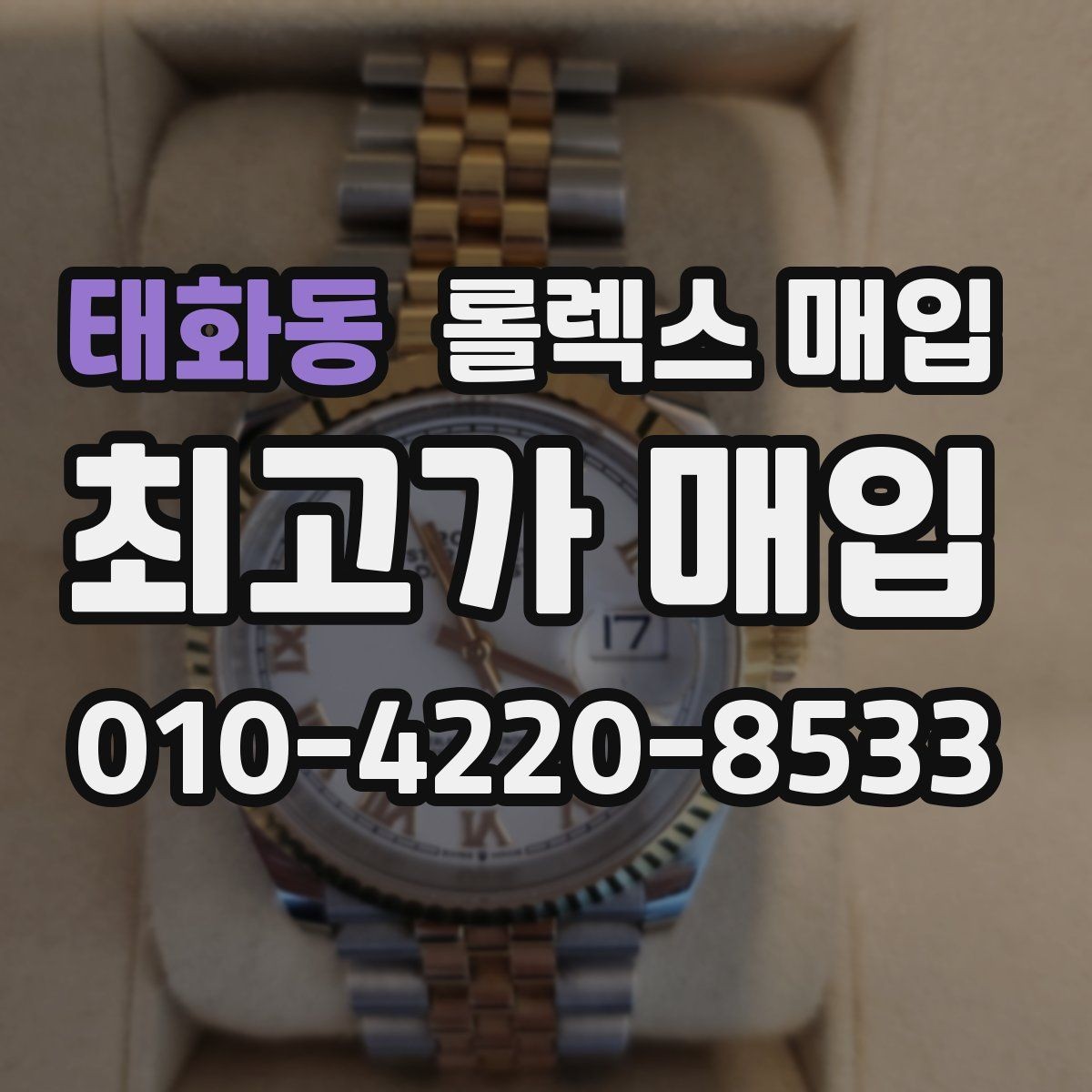 태화동 롤렉스 매입 28 31 사이즈 여성 모델 시세 정리