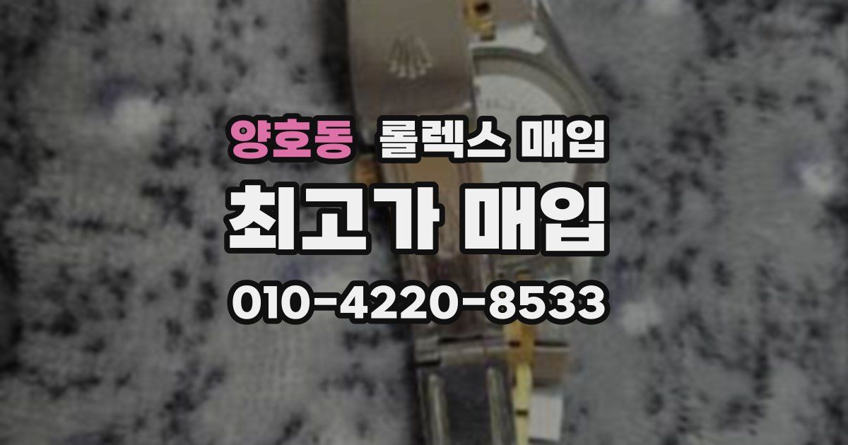 양호동 롤렉스 매입