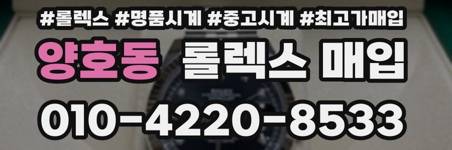 양호동 롤렉스 매입