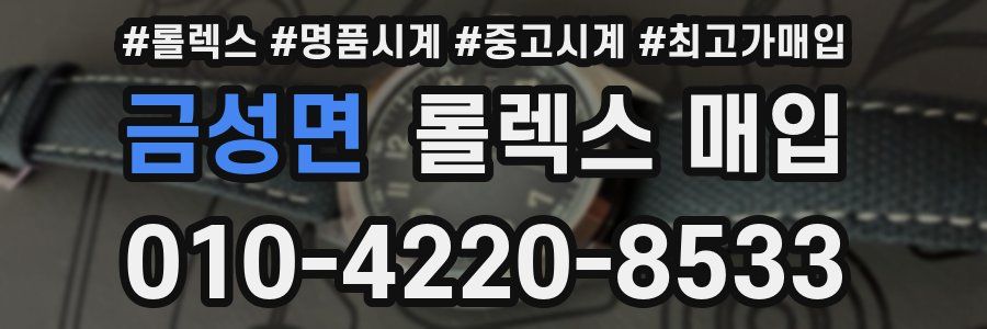 금성면 롤렉스 매입