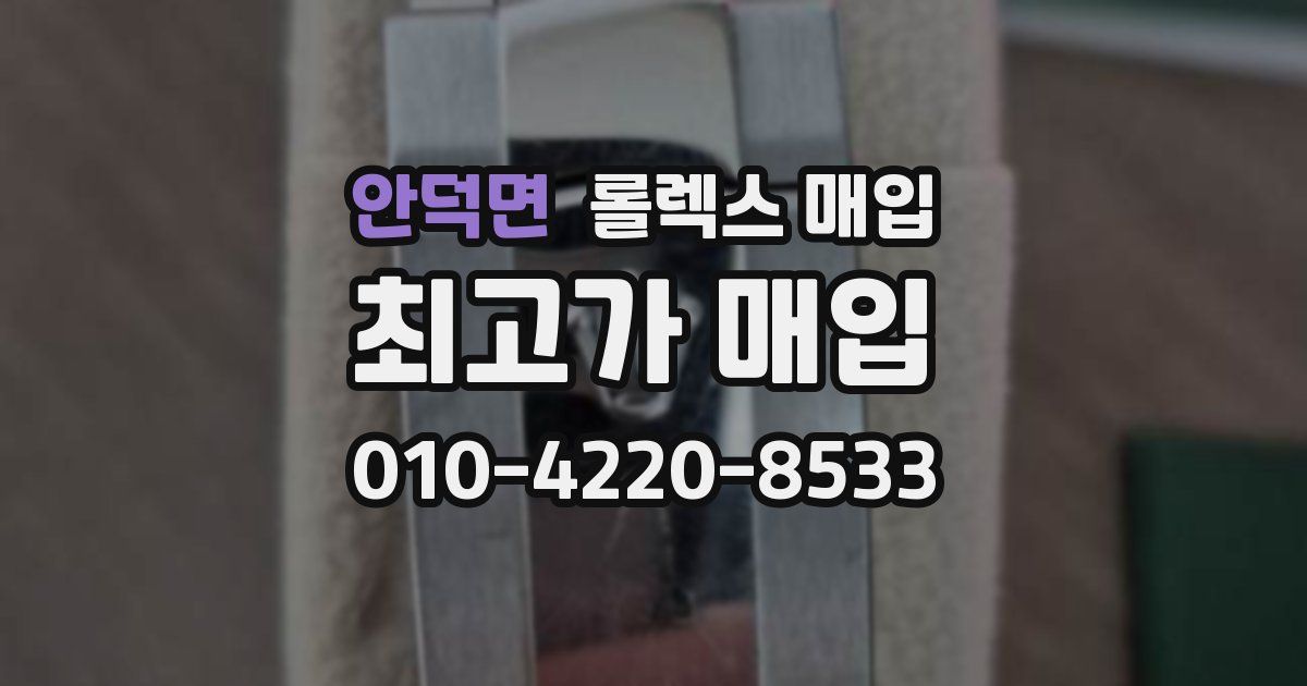 안덕면 롤렉스 매입