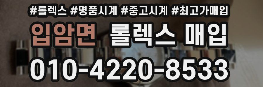 입암면 롤렉스 매입