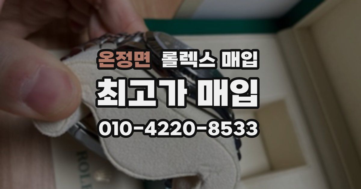 온정면 롤렉스 매입