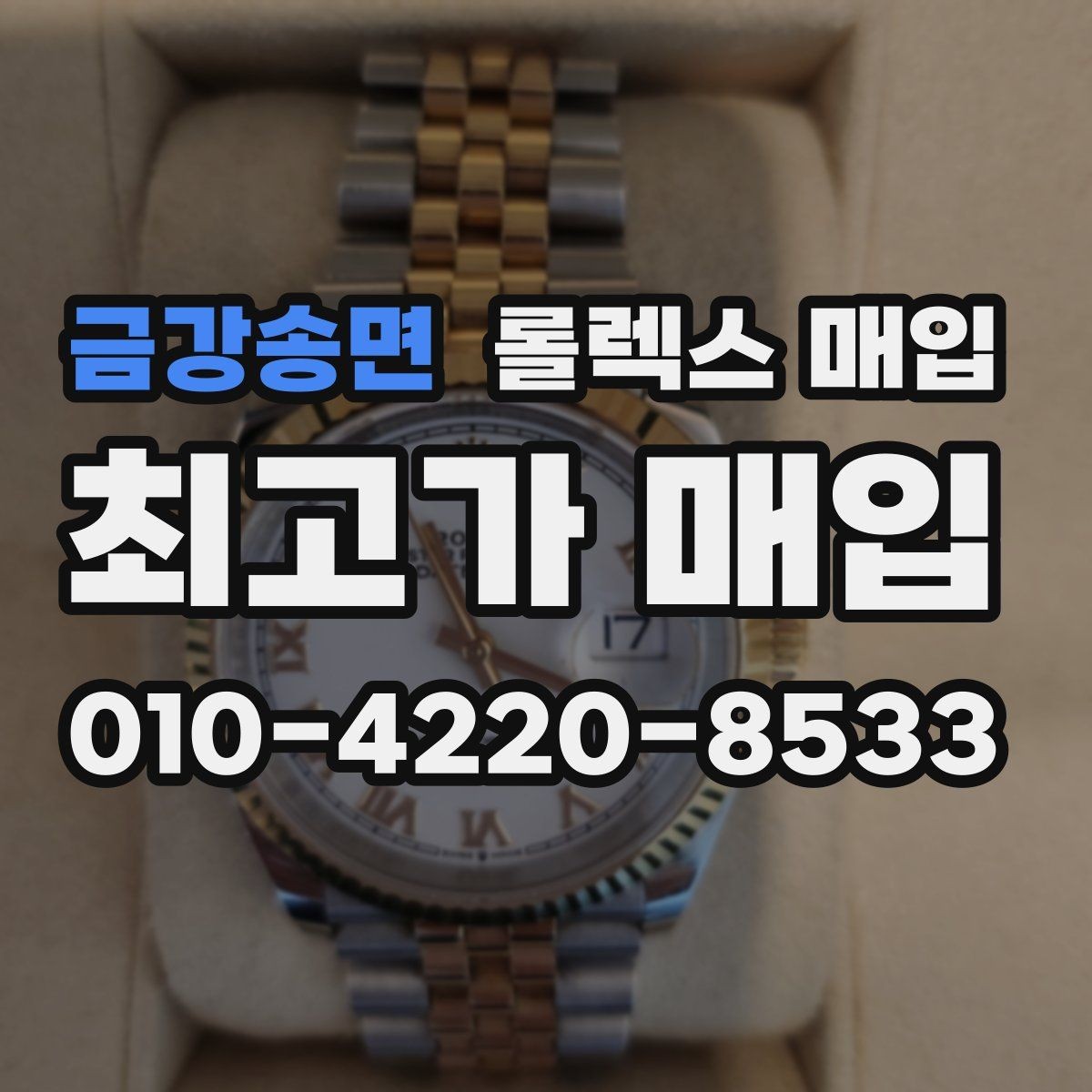 금강송면 롤렉스 매입 스틸 모델이 인기인 이유