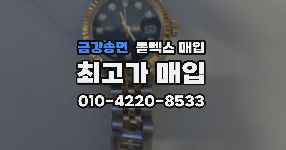 금강송면 롤렉스 매입
