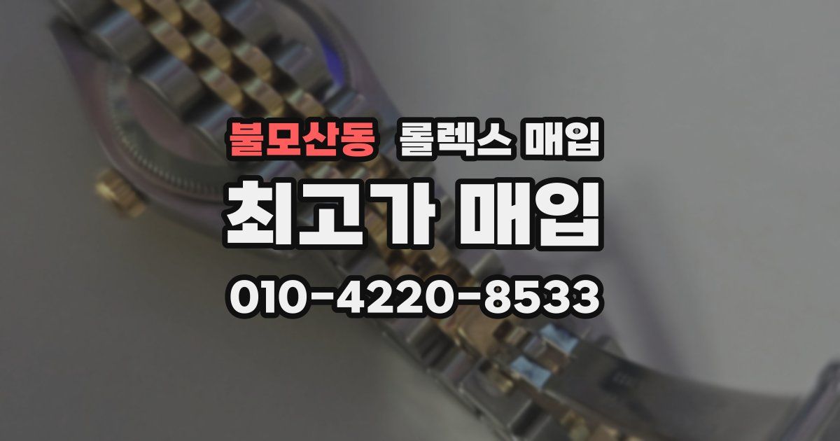 불모산동 롤렉스 매입
