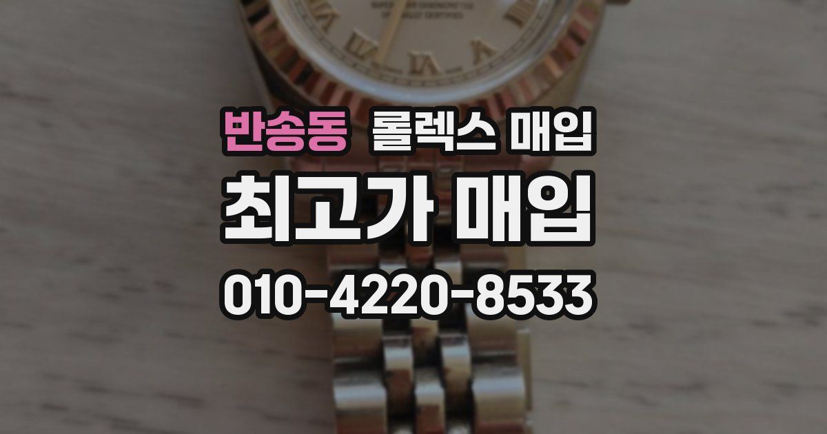 반송동 롤렉스 매입