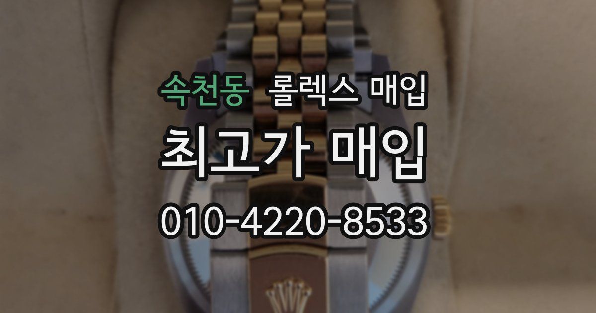 속천동 롤렉스 매입