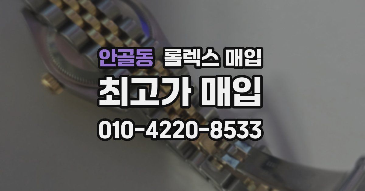 안골동 롤렉스 매입