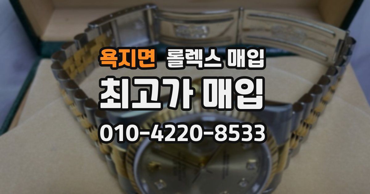 욕지면 롤렉스 매입