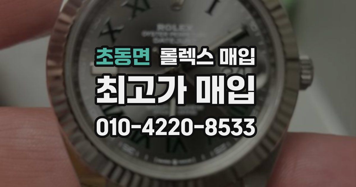 초동면 롤렉스 매입