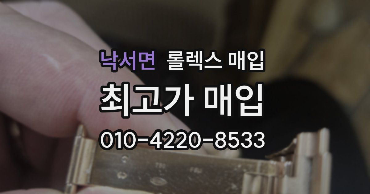 낙서면 롤렉스 매입