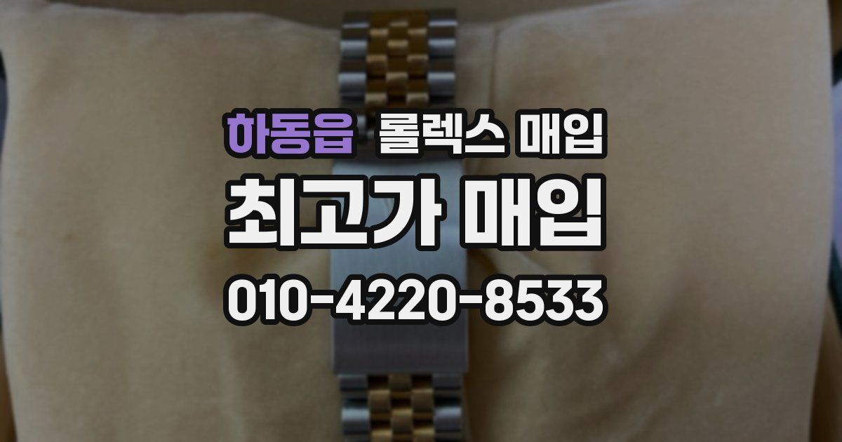 하동읍 롤렉스 매입