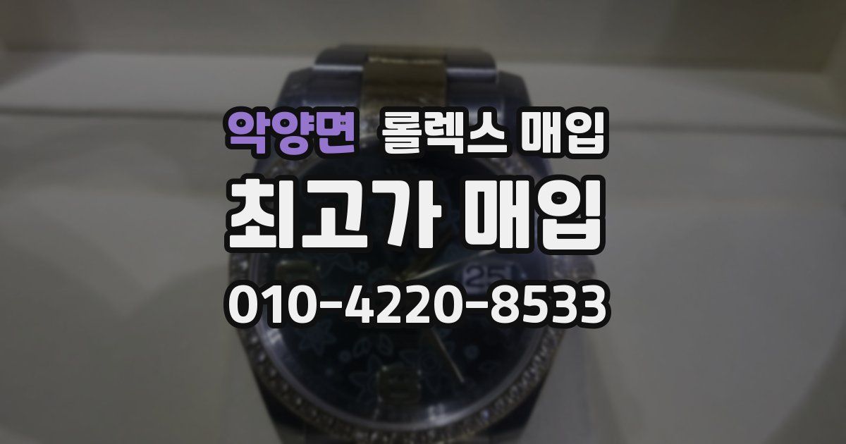 악양면 롤렉스 매입