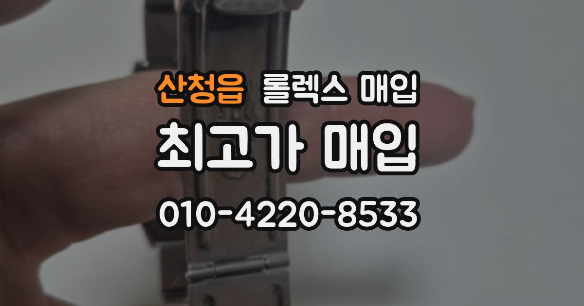 산청읍 롤렉스 매입