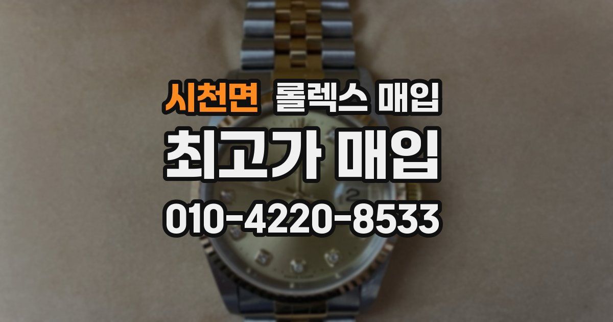 시천면 롤렉스 매입