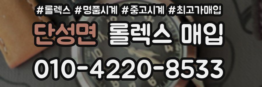 단성면 롤렉스 매입