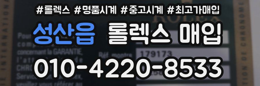 성산읍 롤렉스 매입