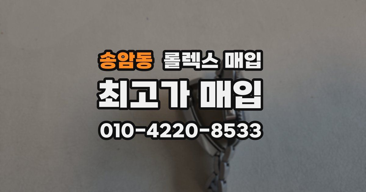 송암동 롤렉스 매입