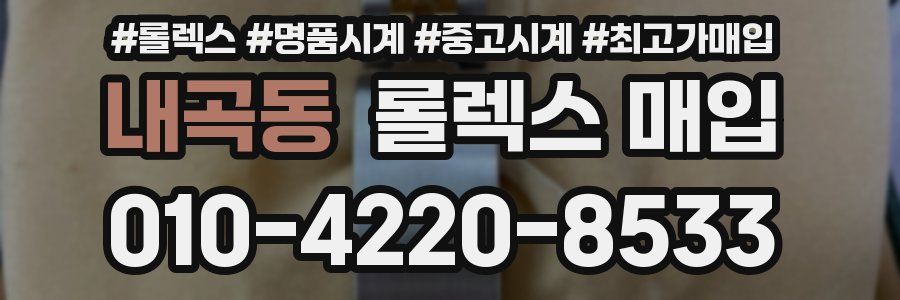 내곡동 롤렉스 매입