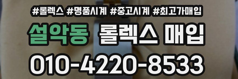 설악동 롤렉스 매입