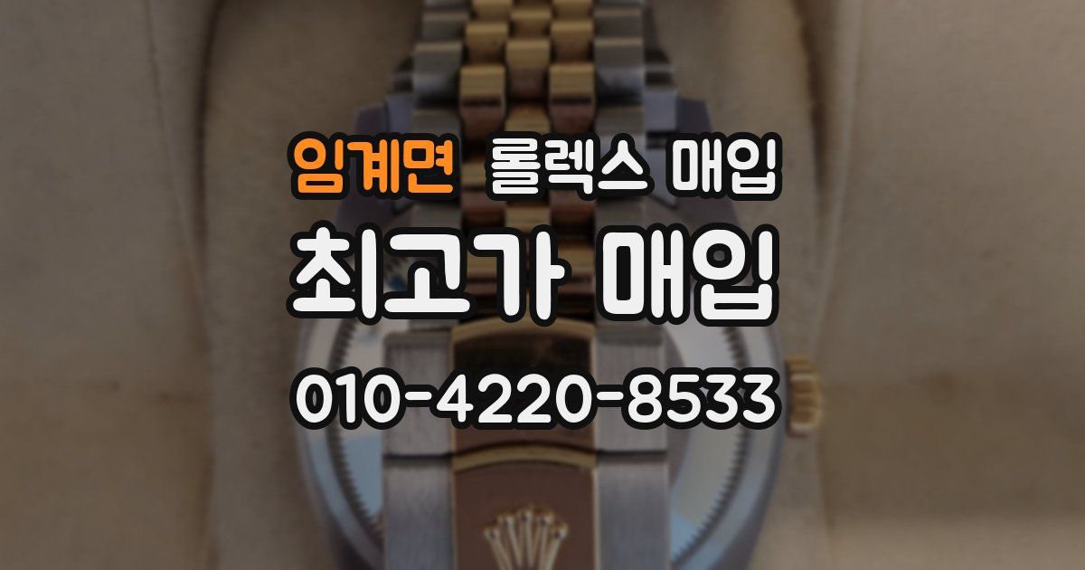 임계면 롤렉스 매입
