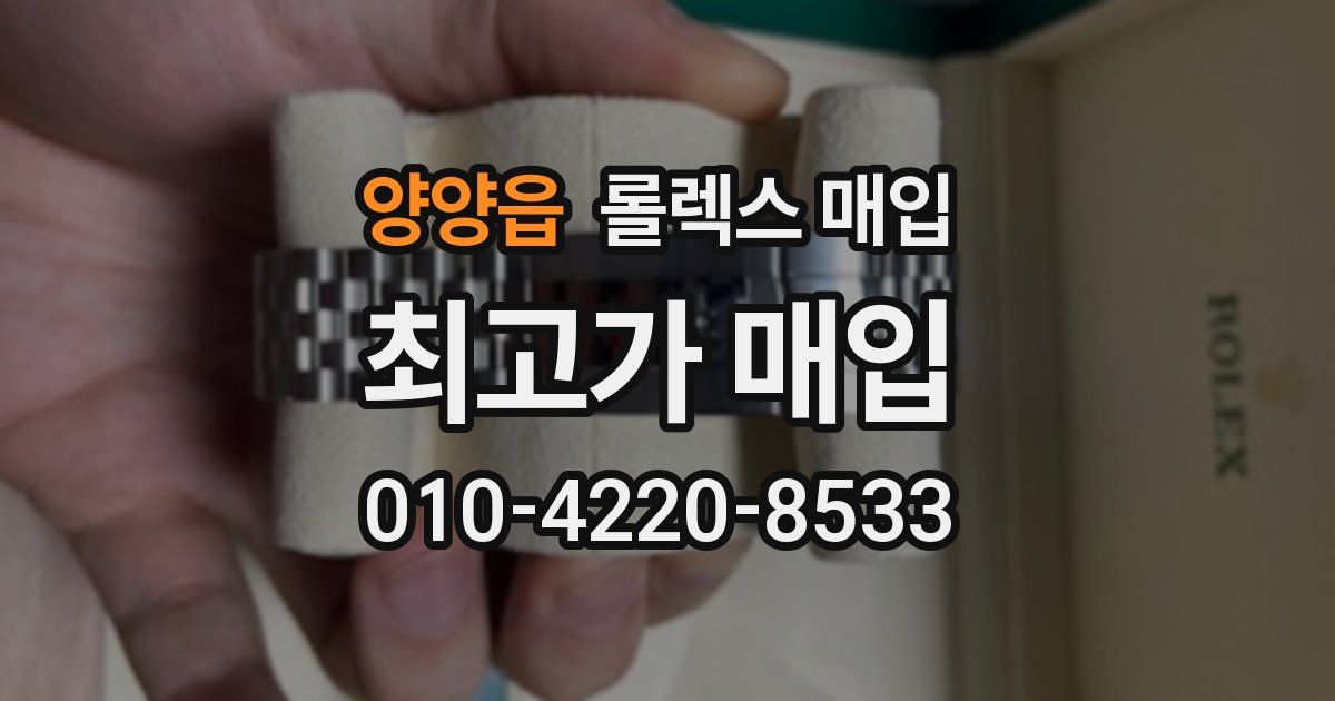 양양읍 롤렉스 매입