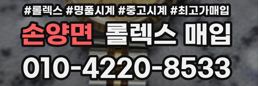 손양면 롤렉스 매입