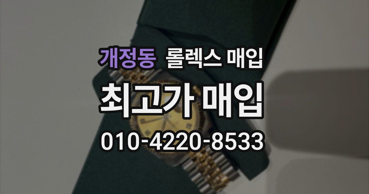 개정동 롤렉스 매입