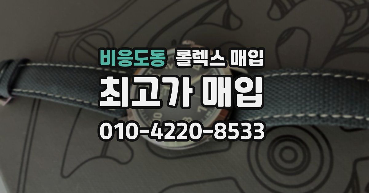 비응도동 롤렉스 매입