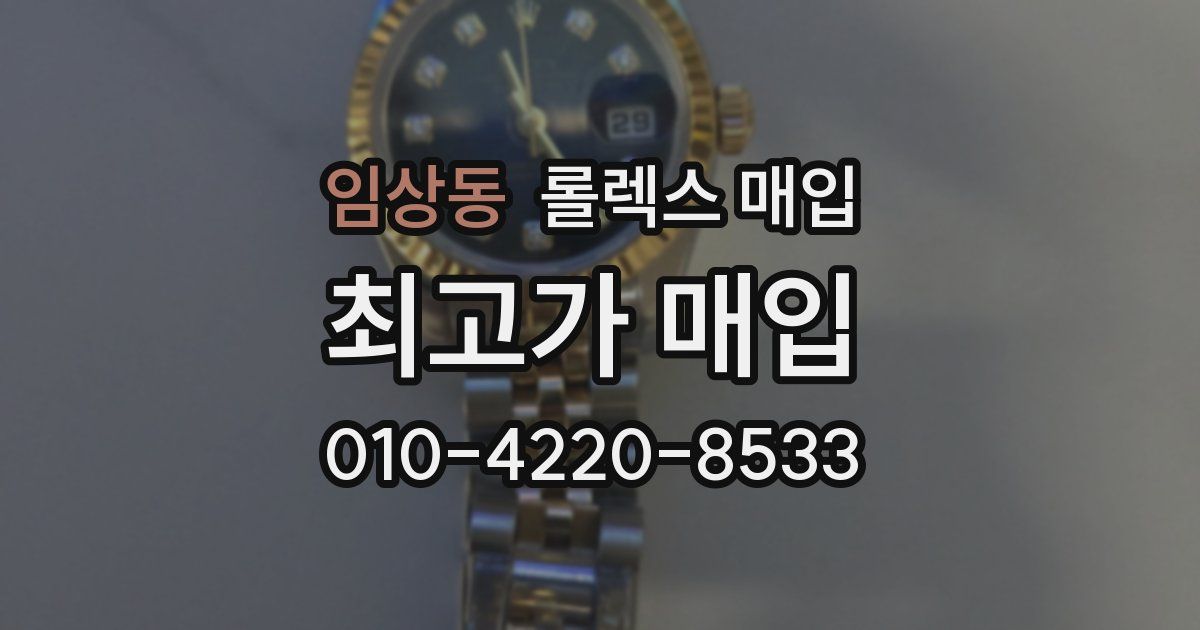 임상동 롤렉스 매입