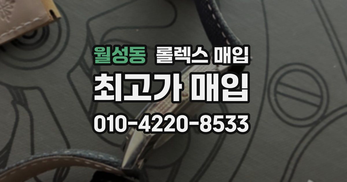 월성동 롤렉스 매입