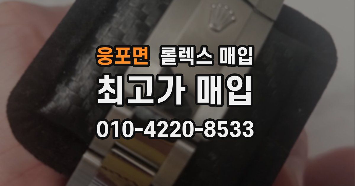 웅포면 롤렉스 매입