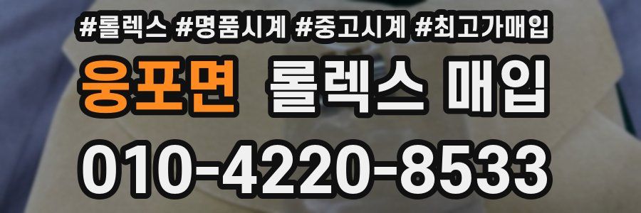 웅포면 롤렉스 매입