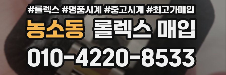 농소동 롤렉스 매입